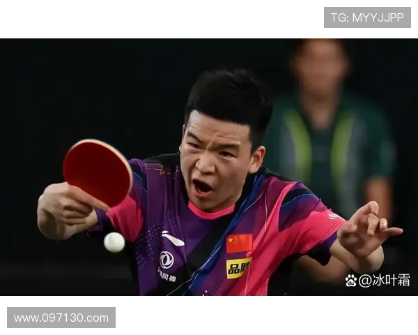 向鹏夺男队选拔赛冠军晋伦敦世乒赛
